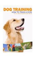 Dog Training