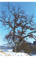 Winter Oak Tree Journal: 150 page lined notebook/diary