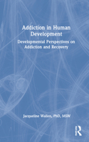 Addiction in Human Development