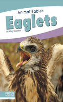 Eaglets: (Animal Babies)