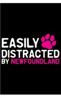 Easily Distracted by Newfoundland