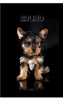 Bruno: Journal (Diary, Notebook) Personalized Custom Name Cute Alphabet Dog Birthday Gift for Girls