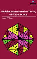 Modular Representation Theory of Finite Groups