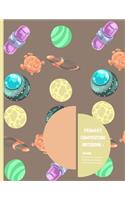 Primary Composition Notebook