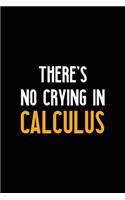 There's No Crying In Calculus