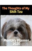 The Thoughts of My Shih Tzu
