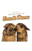 Adventures of Emu & Demu