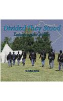 Divided They Stood