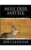 Mule Deer & Elk