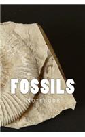 Fossils