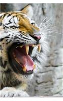 Tiger Notebook