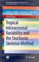 Tropical Intraseasonal Variability and the Stochastic Skeleton Method