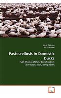 Pasteurellosis in Domestic Ducks