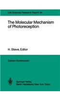 Molecular Mechanism of Photoreception