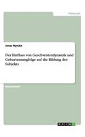 Der Einfluss von Geschwisterdynamik und Geburtenrangfolge auf die Bildung des Subjekts
