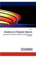Analysis on Singular Spaces