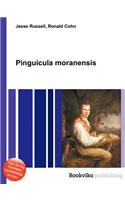 Pinguicula Moranensis