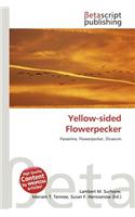 Yellow-Sided Flowerpecker