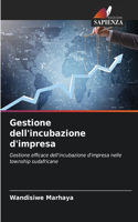 Gestione dell'incubazione d'impresa