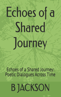 Echoes of a Shared Journey