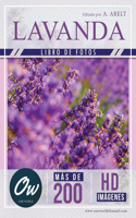 Lavanda: Libro de fotos - Más de 200 imágenes HD