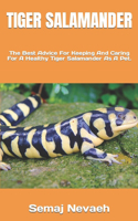 Tiger Salamander