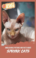 Unbelievable Pictures and Facts About Sphynx Cats