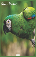 Green Parrot 2021 Wall Calendar