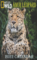 Amur Leopard Calendar 2022