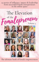 The Elevation of The Femalepreneur