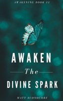 Awaken The Divine Spark