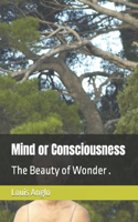 Mind or Consciousness