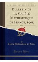 Bulletin de la Société Mathématique de France, 1905, Vol. 33 (Classic Reprint)
