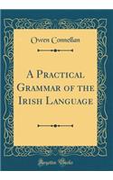 A Practical Grammar of the Irish Language (Classic Reprint)