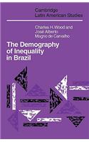 Demography of Inequality in Brazil