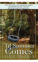 'Til Summer Comes