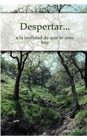 Despertar...