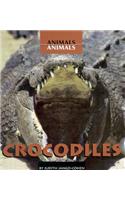 Crocodiles