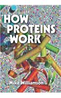 How Proteins Work