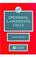 Epidermal Langerhans Cells