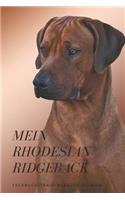 Mein Rhodesian Ridgeback Tagebuch-Trainingsbuch-Journal: Tagebuch für Hundefreunde zum Selberschreiben, dickes, kariertes Notizbuch, Bullet Journal