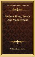 Modern Sheep, Breeds And Management