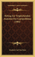 Beitrag Zur Vergleichenden Anatomie Der Cypripedilinae (1904)