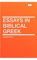 Essays in Biblical Greek