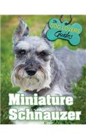 Miniature Schnauzer