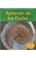 Aprender de los Fosiles = Learning from Fossils