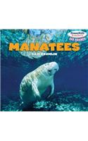 Manatees