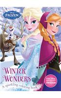 Disney Frozen Winter Wonders