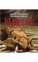 What You Need to Know about Head Lice