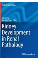 Kidney Development in Renal Pathology